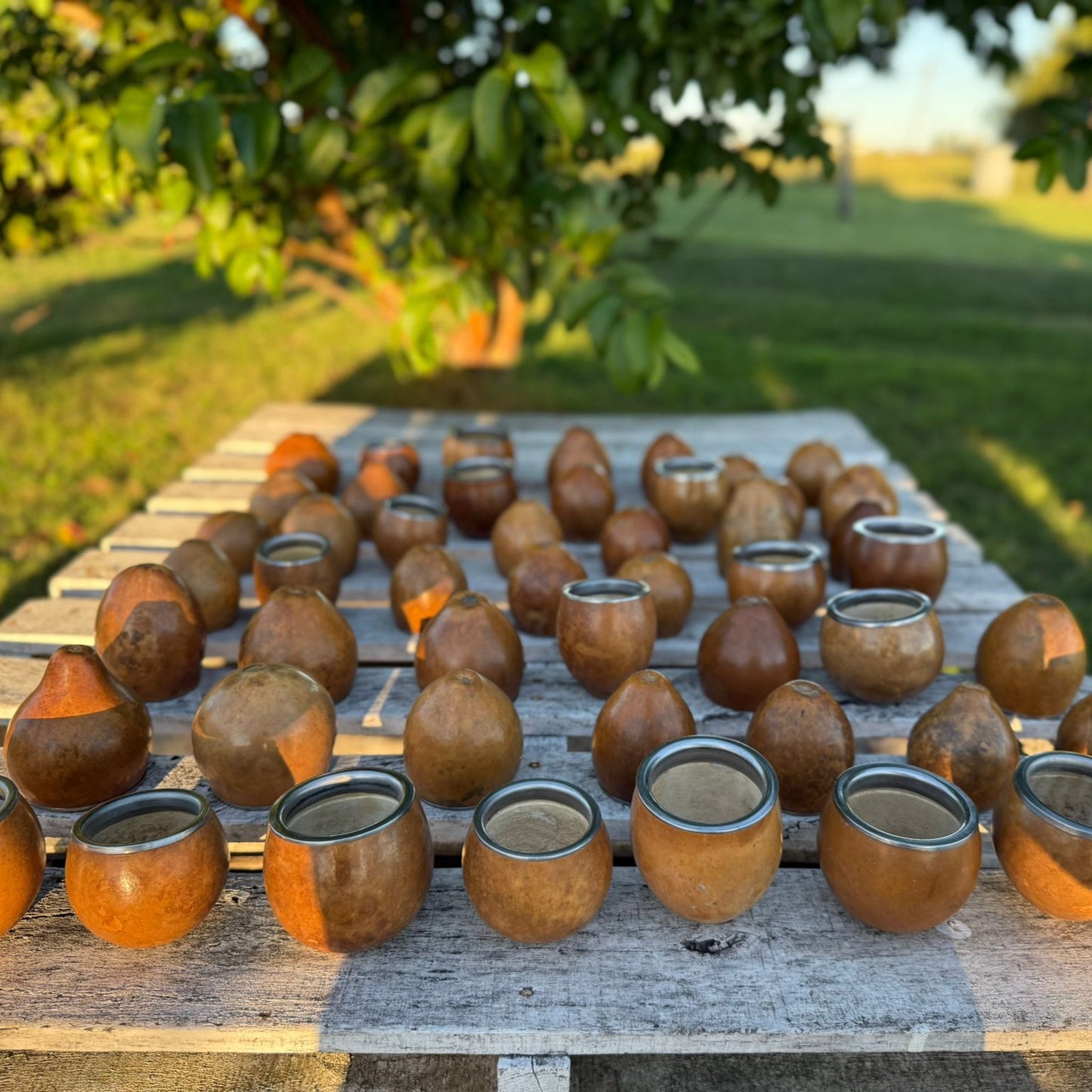 Mate común con boquilla chata en acero, Tradición Campera