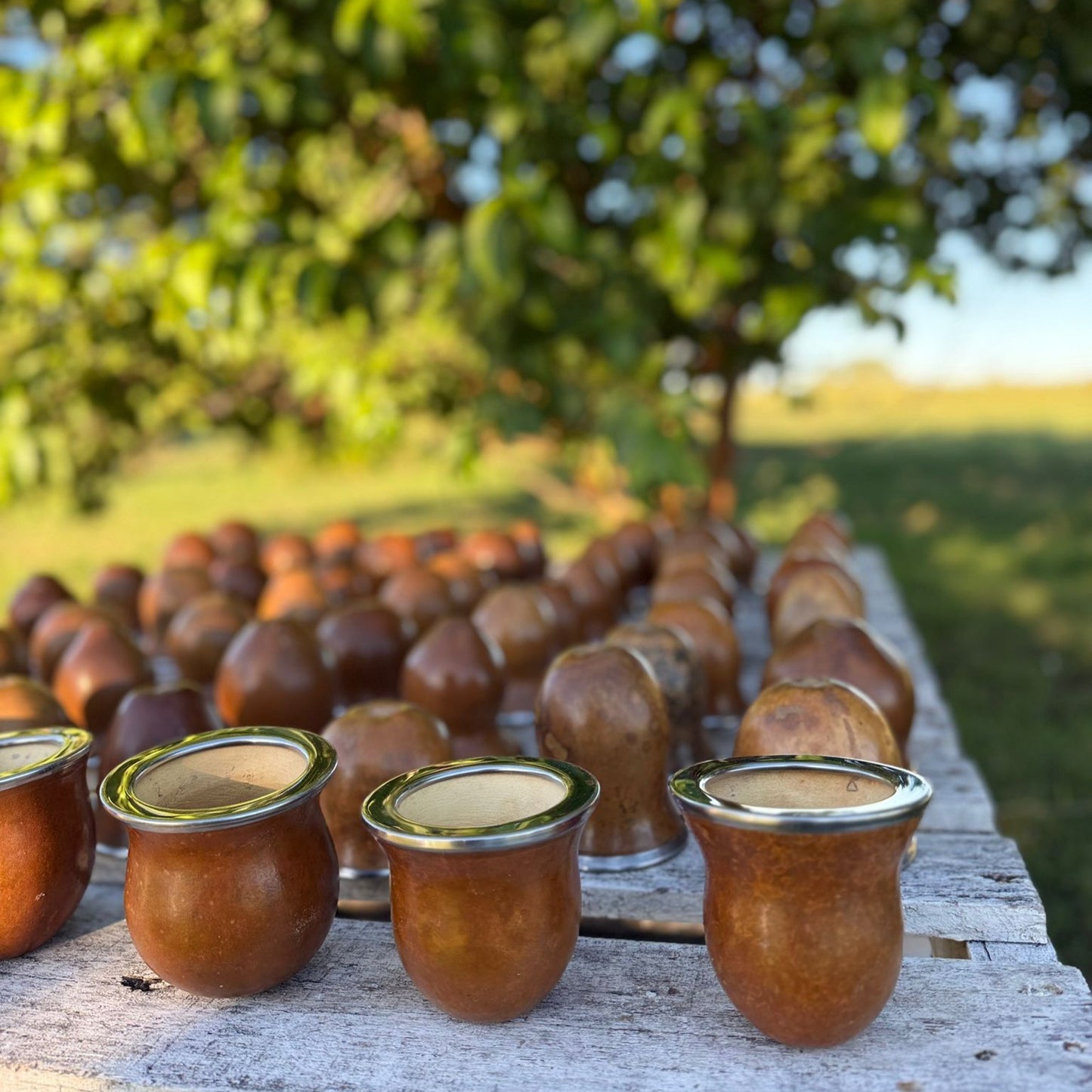 Mate con vuelo y boquilla chata en acero, Tradición Campera