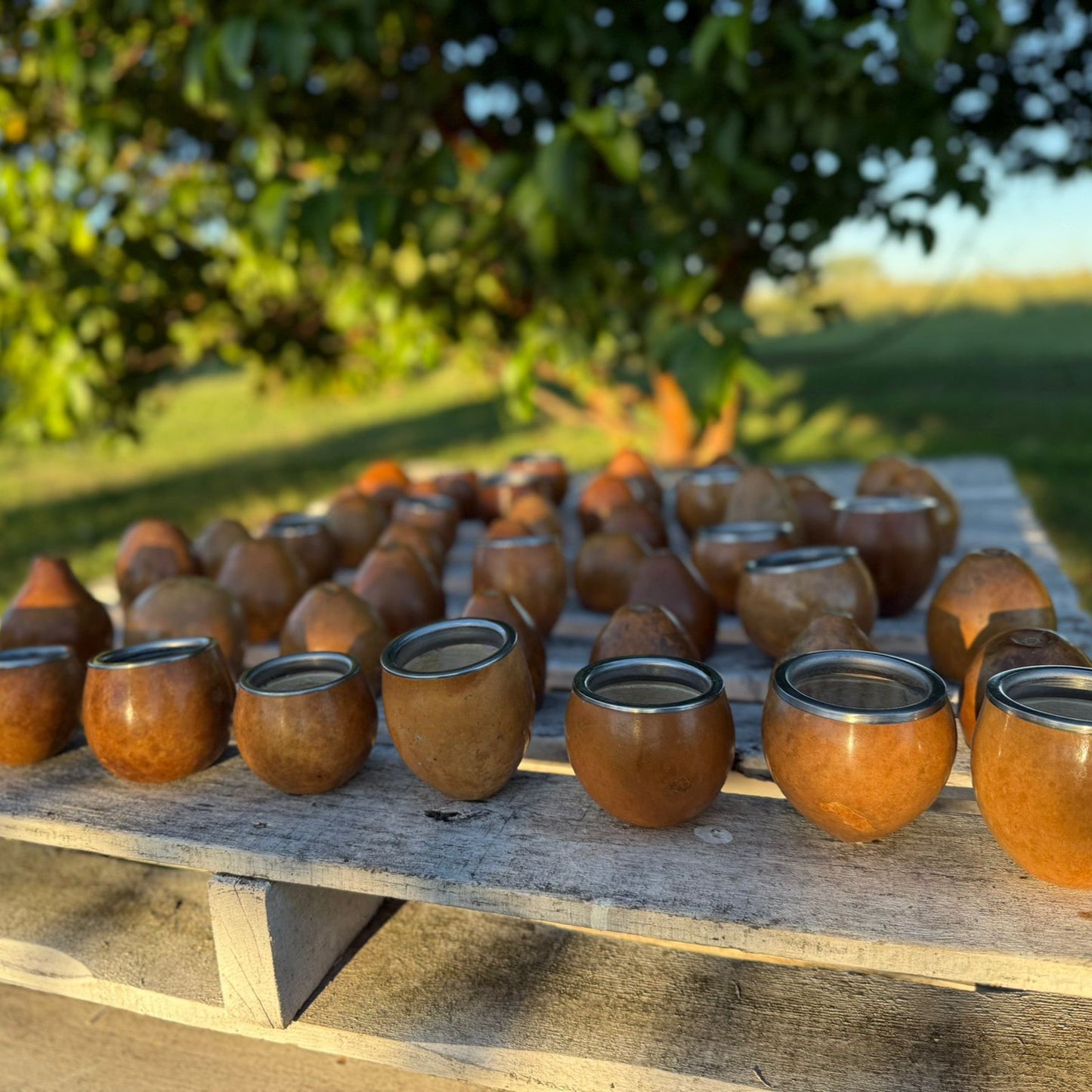 Mate común con boquilla chata en acero, Tradición Campera